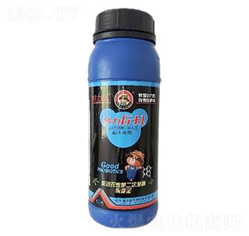 妙力熊6+1EM復(fù)合益生菌劑-施爾康