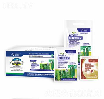 ���L�����`-嫰�����