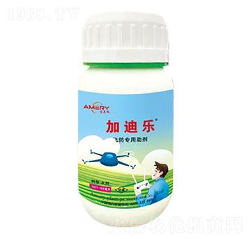 �w����������-�ӵϘ�(l��)-��(��i)����