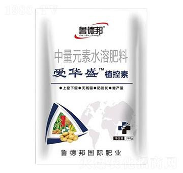 中量元素水溶肥料-愛華盛植控素-魯?shù)掳? />
                                </div>
                            </div>
                            
                            <style type=