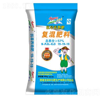 �����B(y��ng)�؏�(f��)�����19-19-19-�����S