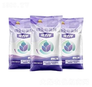 ΢�������-������-Ľ������