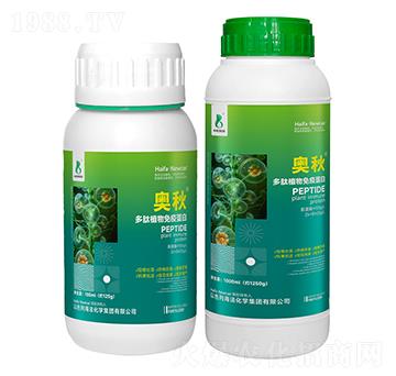 ����ֲ�����ߵ���-�W��