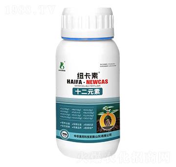 ʮ��Ԫ��-�~����-���r(n��ng)�W��