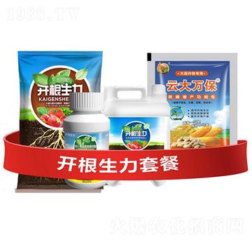 �_�������ײ�A-�ƴ�Ƽ�