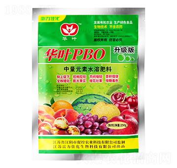 ����(j��)���A�~PBO-�����ѻ�