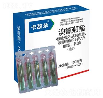 25��/���������-������-�t̫�(y��ng)