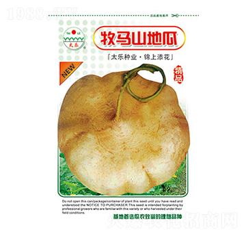 牧馬山地瓜-太樂種業(yè)