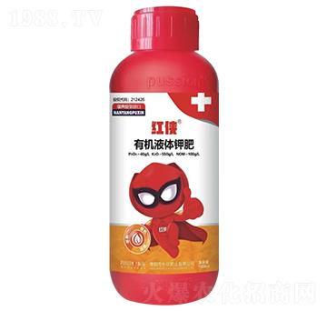 �t�b�D���S��ȼ�(j��)��-�����ʘI(y��)