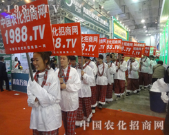 ��19��ɽ�|ֲ���p�������л����������