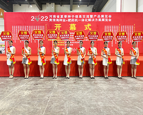 �����]�����Ĵ������������L(f��ng)�ɱM�@��