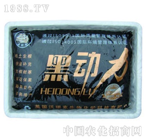 �����-�ڄ�(d��ng)��