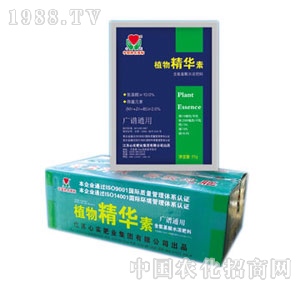 �Č�-ֲ�ﾫ�A��