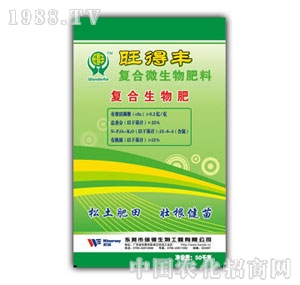 25%�����S�ͺ�����ʣ��ȣ�