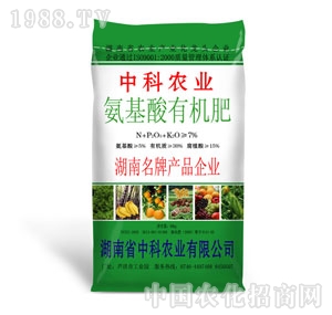 �п�-�������ЙC(j��)��