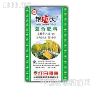 �G���-��(f��)�Ϸʣ�28-6-6��