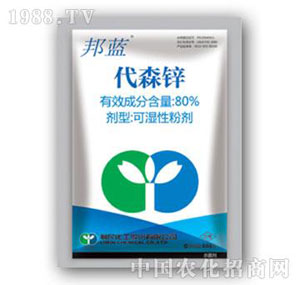 ����-���{