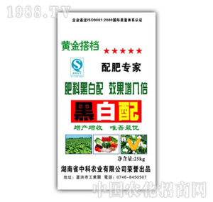 �п��r�I(y��)-�ڰ���