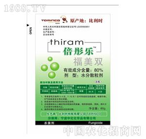 �V�|���-��ͮ��������-�����r(sh��)�ذ�