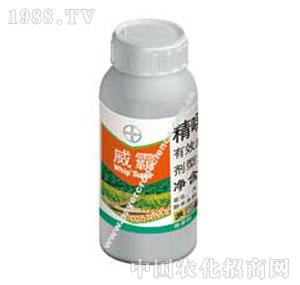 �V�|���-���ԣ����݄���-���ݶ�